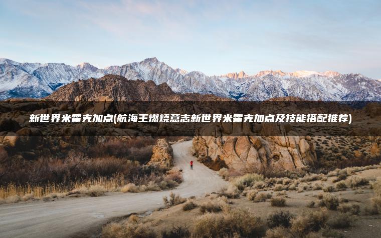 新世界米霍克加点(航海王燃烧意志新世界米霍克加点及技能搭配推荐)
