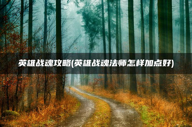 英雄战魂攻略(英雄战魂法师怎样加点好)