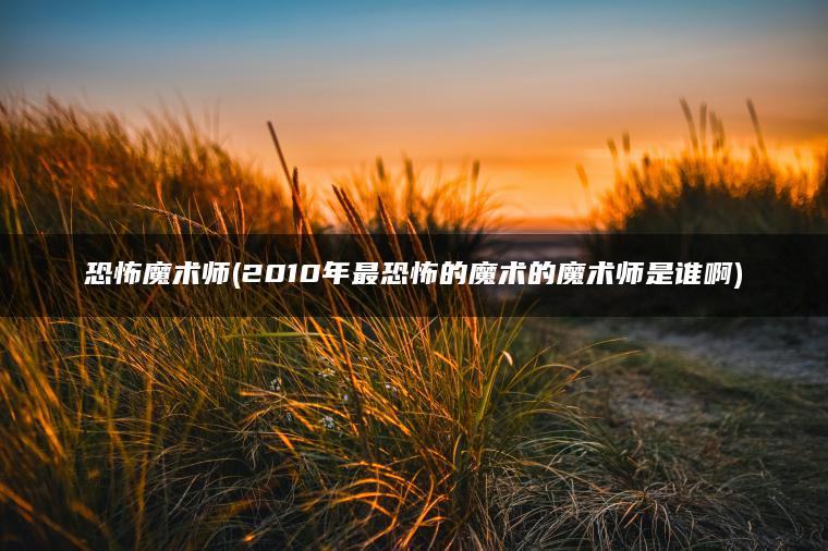 恐怖魔术师(2010年最恐怖的魔术的魔术师是谁啊)