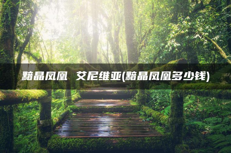黯晶凤凰 艾尼维亚(黯晶凤凰多少钱)