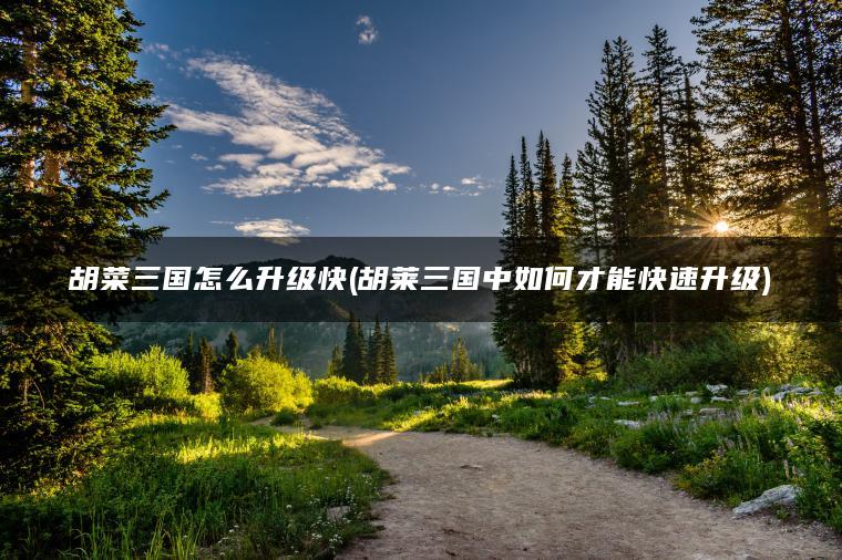 胡菜三国怎么升级快(胡莱三国中如何才能快速升级)