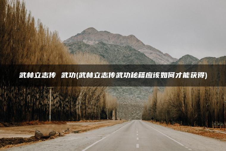 武林立志传 武功(武林立志传武功秘籍应该如何才能获得)