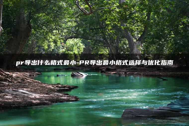 pr导出什么格式最小-PR导出最小格式选择与优化指南
