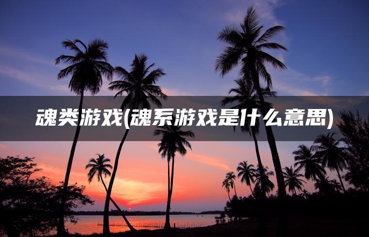 魂类游戏(魂系游戏是什么意思)