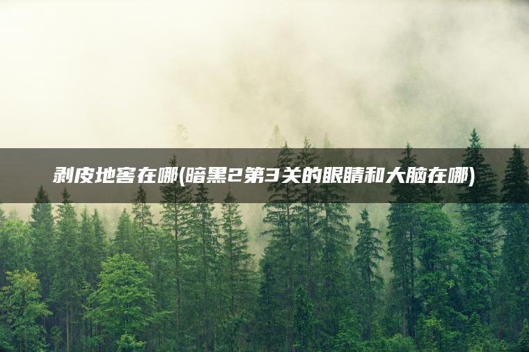 剥皮地窖在哪(暗黑2第3关的眼睛和大脑在哪)