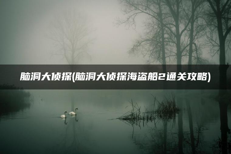 脑洞大侦探(脑洞大侦探海盗船2通关攻略)
