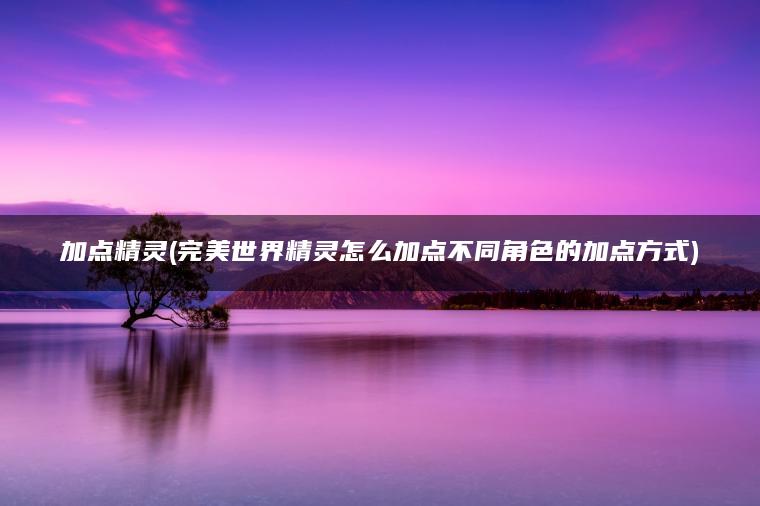 加点精灵(完美世界精灵怎么加点不同角色的加点方式)