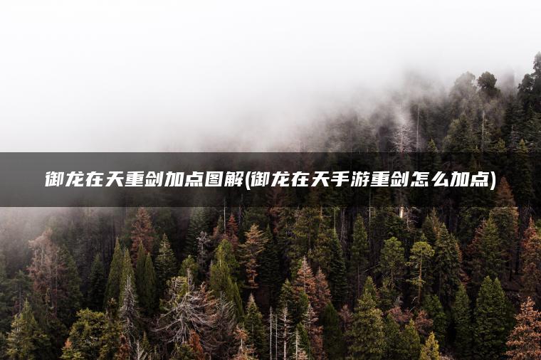 御龙在天重剑加点图解(御龙在天手游重剑怎么加点)