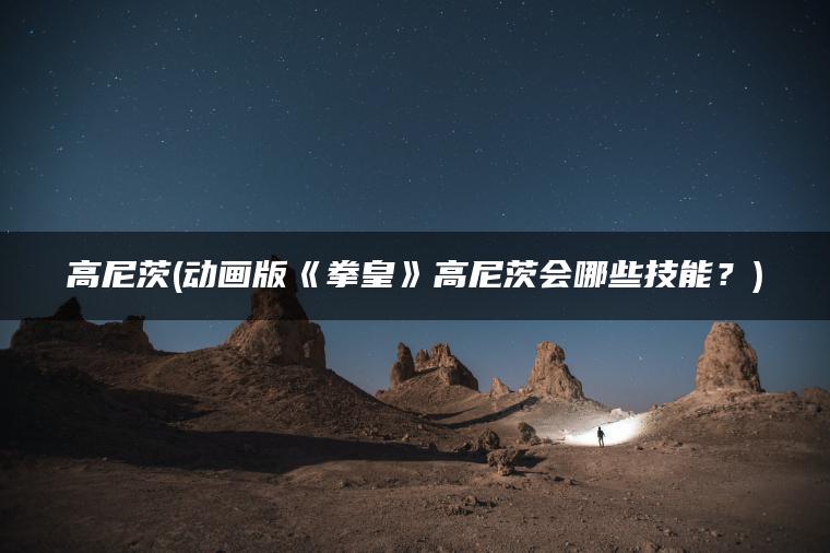 高尼茨(动画版《拳皇》高尼茨会哪些技能？)