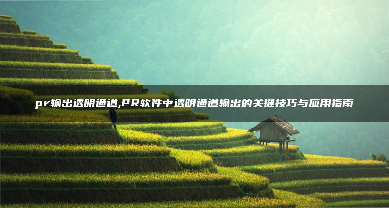 pr输出透明通道,PR软件中透明通道输出的关键技巧与应用指南