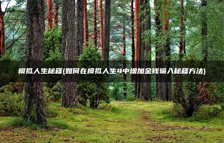 模拟人生秘籍(如何在模拟人生4中增加金钱输入秘籍方法)