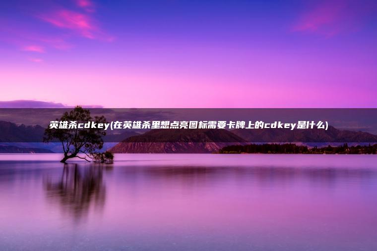 英雄杀cdkey(在英雄杀里想点亮图标需要卡牌上的cdkey是什么)