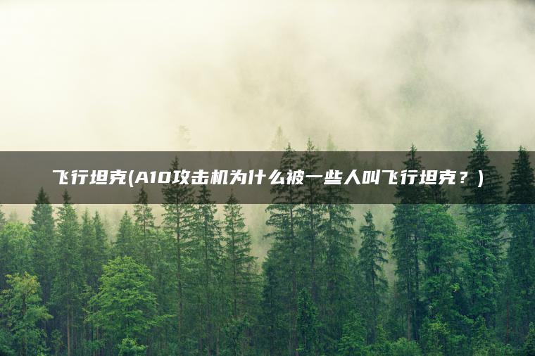 飞行坦克(A10攻击机为什么被一些人叫飞行坦克？)