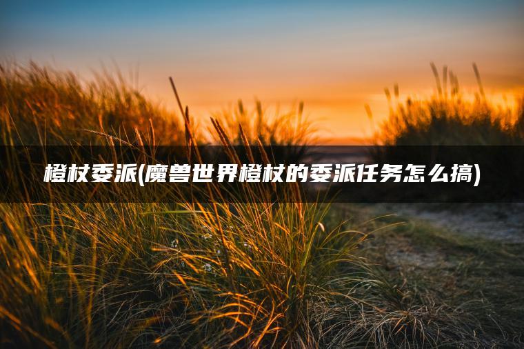 橙杖委派(魔兽世界橙杖的委派任务怎么搞)