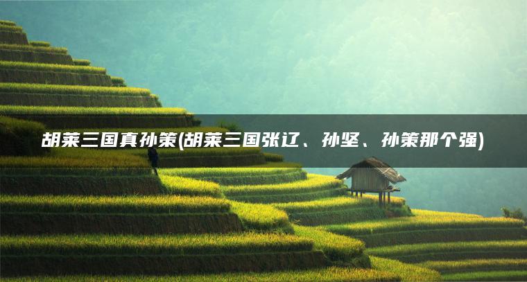 胡莱三国真孙策(胡莱三国张辽、孙坚、孙策那个强)