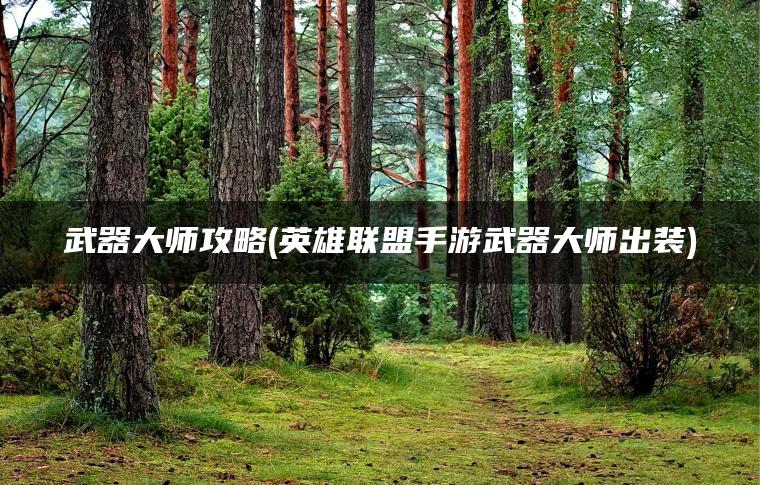 武器大师攻略(英雄联盟手游武器大师出装)