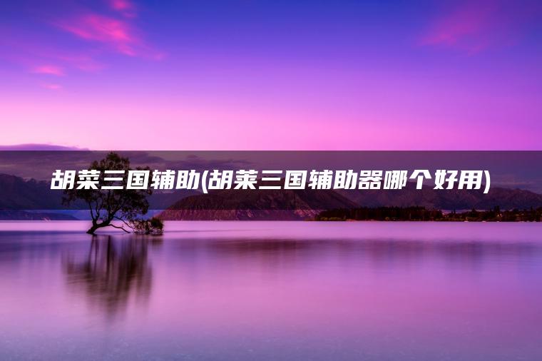 胡菜三国辅助(胡莱三国辅助器哪个好用)