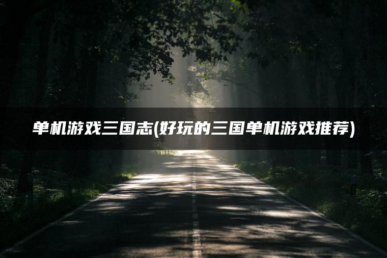 单机游戏三国志(好玩的三国单机游戏推荐)