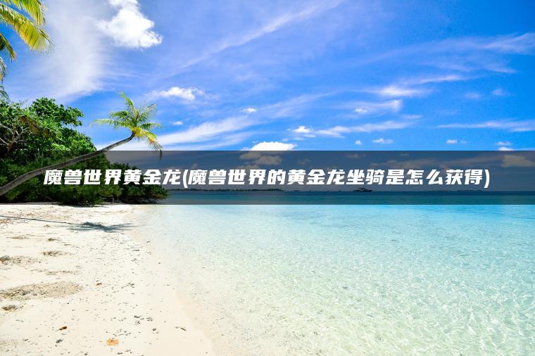 魔兽世界黄金龙(魔兽世界的黄金龙坐骑是怎么获得)