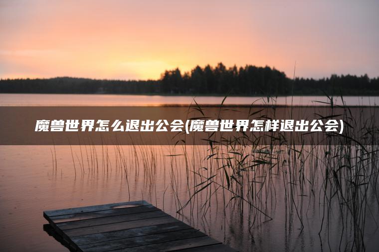 魔兽世界怎么退出公会(魔兽世界怎样退出公会)