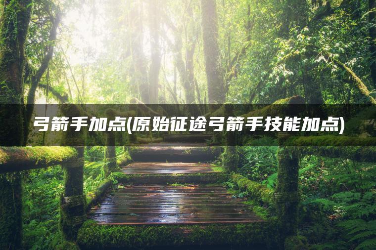 弓箭手加点(原始征途弓箭手技能加点)