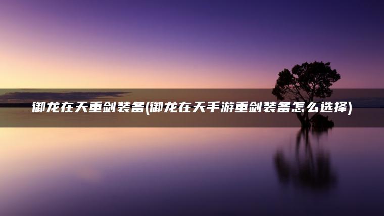 御龙在天重剑装备(御龙在天手游重剑装备怎么选择)