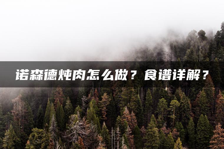 诺森德炖肉怎么做？食谱详解？