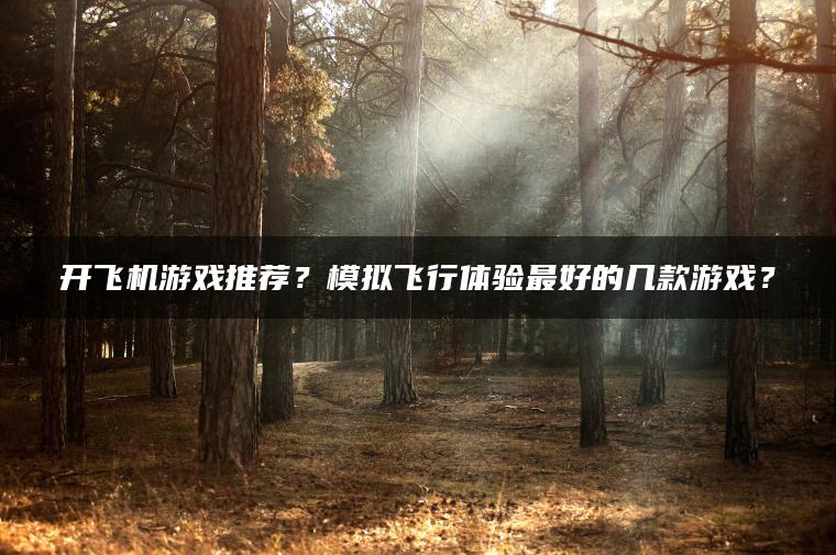 开飞机游戏推荐？模拟飞行体验最好的几款游戏？