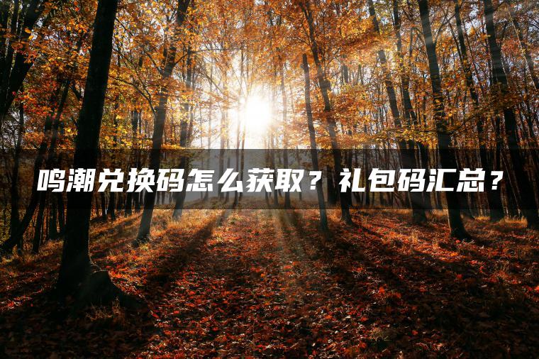 鸣潮兑换码怎么获取？礼包码汇总？