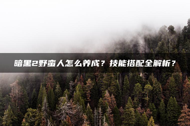 暗黑2野蛮人怎么养成？技能搭配全解析？