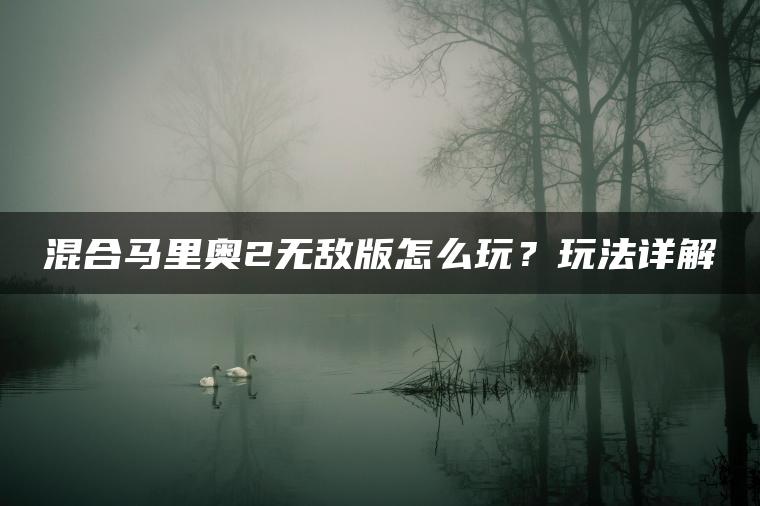 混合马里奥2无敌版怎么玩？玩法详解