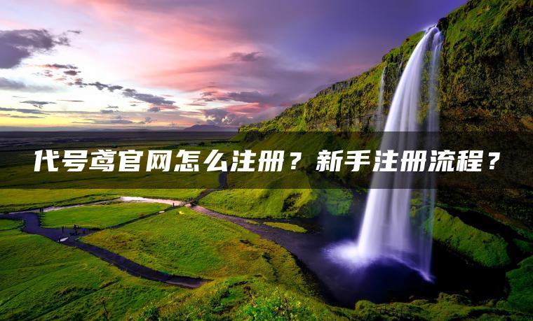 代号鸢官网怎么注册？新手注册流程？