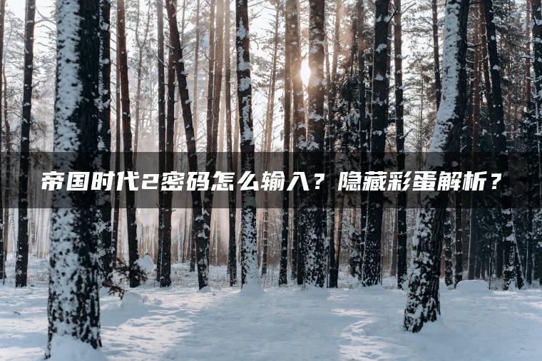 帝国时代2密码怎么输入？隐藏彩蛋解析？
