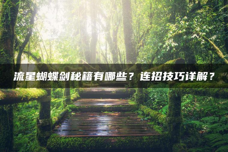 流星蝴蝶剑秘籍有哪些？连招技巧详解？