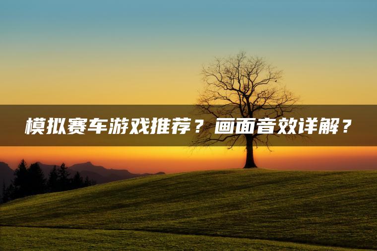 模拟赛车游戏推荐？画面音效详解？