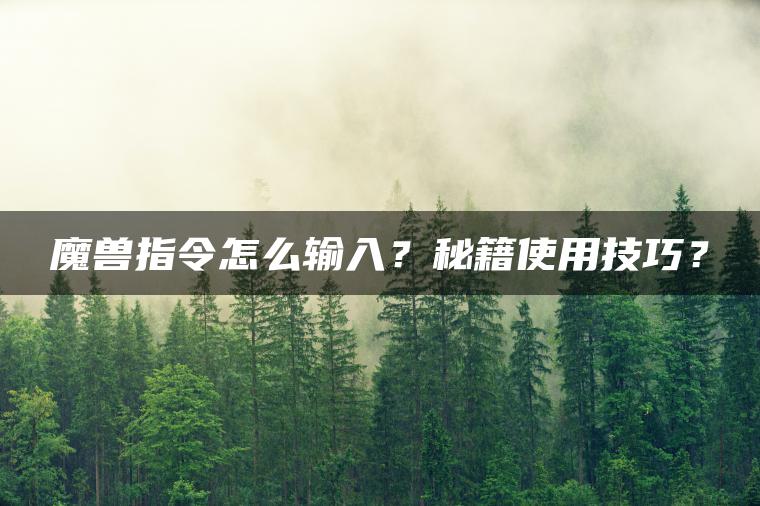 魔兽指令怎么输入？秘籍使用技巧？