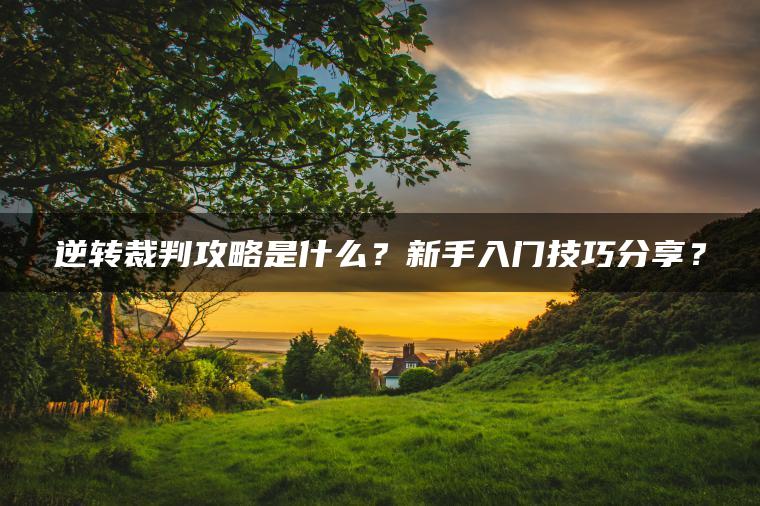逆转裁判攻略是什么？新手入门技巧分享？