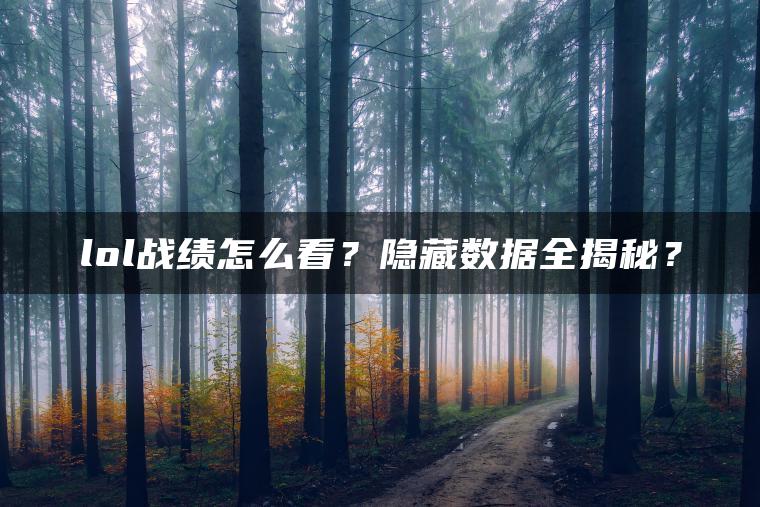lol战绩怎么看？隐藏数据全揭秘？