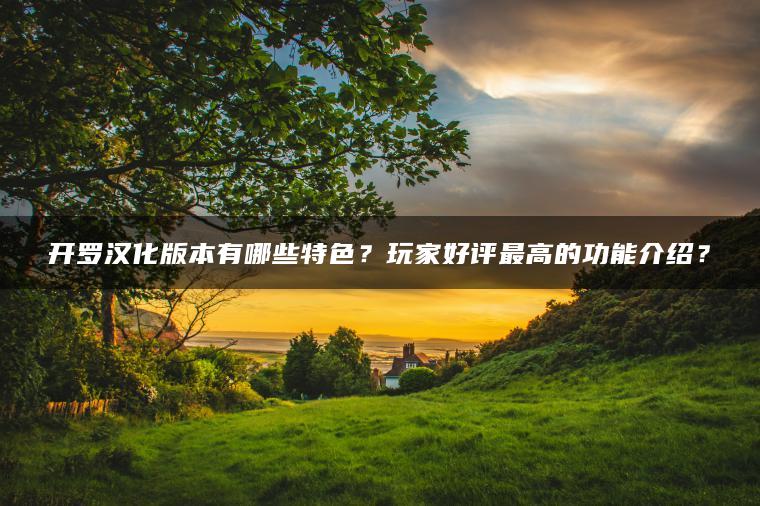 开罗汉化版本有哪些特色？玩家好评最高的功能介绍？