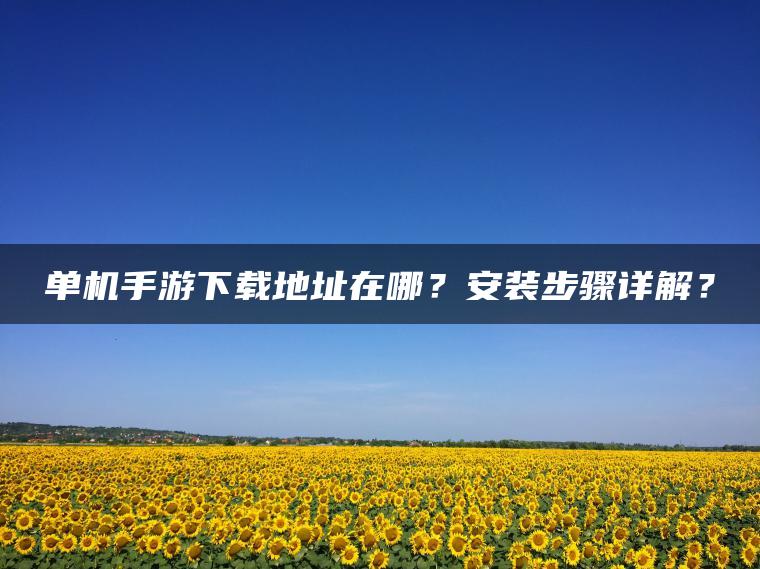 单机手游下载地址在哪？安装步骤详解？