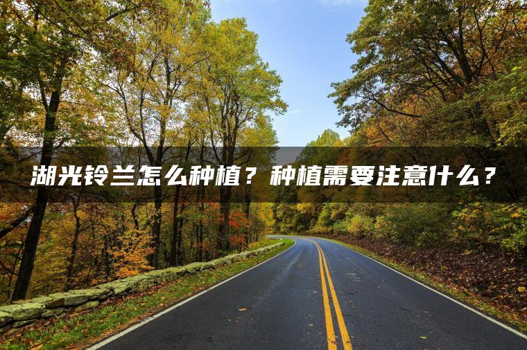 湖光铃兰怎么种植？种植需要注意什么？