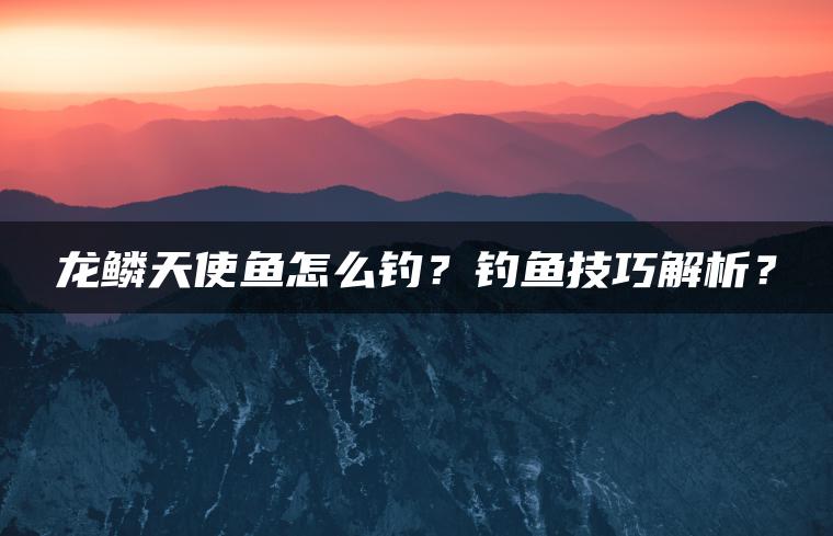 龙鳞天使鱼怎么钓？钓鱼技巧解析？