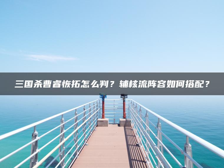 三国杀曹睿恢拓怎么判？辅核流阵容如何搭配？