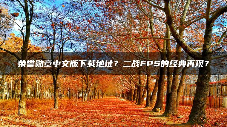 荣誉勋章中文版下载地址？二战FPS的经典再现？