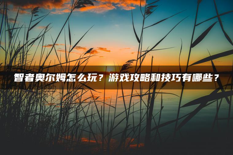 智者奥尔姆怎么玩？游戏攻略和技巧有哪些？