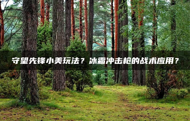 守望先锋小美玩法？冰霜冲击枪的战术应用？