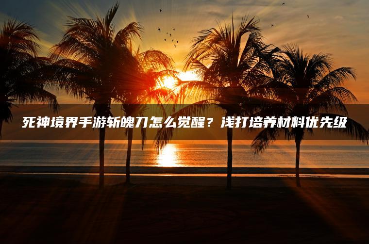 死神境界手游斩魄刀怎么觉醒？浅打培养材料优先级