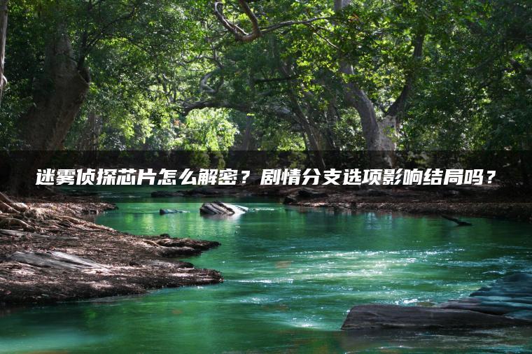 迷雾侦探芯片怎么解密？剧情分支选项影响结局吗？