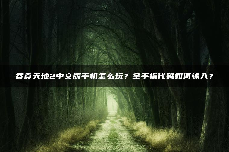 吞食天地2中文版手机怎么玩？金手指代码如何输入？