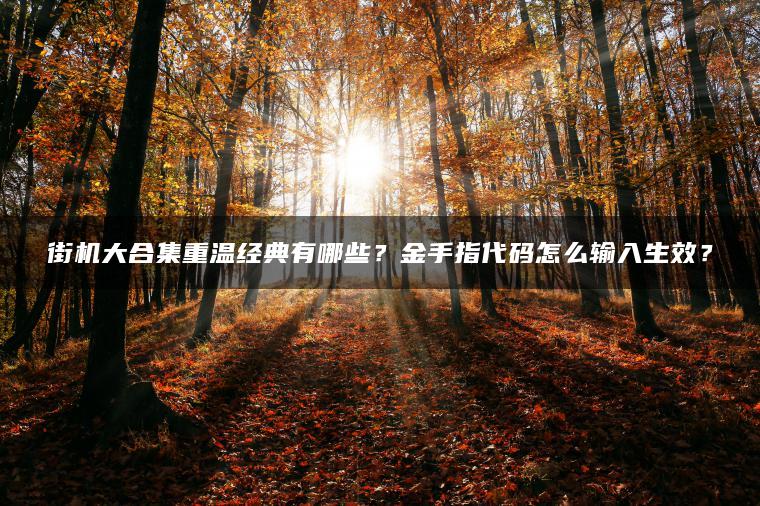 街机大合集重温经典有哪些？金手指代码怎么输入生效？